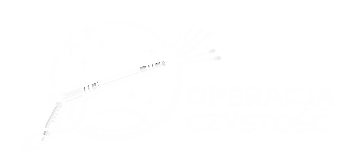 Operacja Czystość – profesjonalne czyszczenie kostki brukowej, elewacji i Dachów